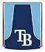 Tampa Bay Rays Backsack