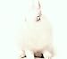Deine Lakaien-White Lies