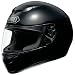 Shoei TZ-R Full Face Motorcycle Helmets BLACK LRG Large