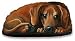 dachshund33 - Fiddlers Elbow Dachshund Pupper Weight