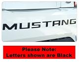 Ford Mustang Rear Bumper Enhancement Letters (99-04) - Mirror