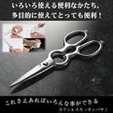 �X�e�����X�L�b�`���o�T�~