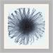 Art Select Dahlia by Steven N. Meyers Framed Art Ea - Model SP3094 Categorization: Office Framed Art & Decor > Flower Shoppe Framed Art