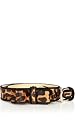 Leopard Pony Print Bow Belt