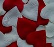 Heart Shaped Silk Rose Petals Wedding Favors Decor - 1000 Count - Iory & Burgundy