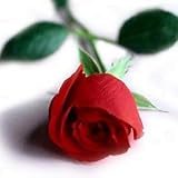 Artificial Silk Rose Single Stem - 56cm, Red