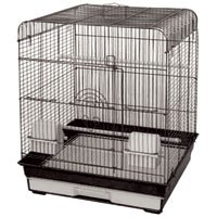 Small Bird Cage with Flat Top - Black - 18 in x 18 in x 22 in by A & E CAGE CO.
