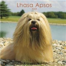 2009 Calendar Lhasa Apso