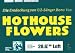 HOTHOUSE FLOWERS The Loft Berlin 1988 Music Poster