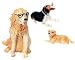 Dogs Shower Curtain Hooks - set of 12