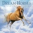 Dream Horses Calendar 2009 (Wall Calendars)