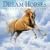 Dream Horses Calendar 2009 (Wall Calendars)