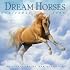 Dream Horses Calendar 2009 (Wall Calendars)