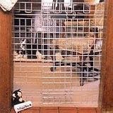 Extra-Tall Pressure Hinge Wire Gate