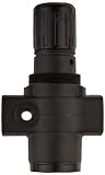 Dixon Valve R17-800R 1