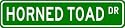 HORNED TOAD Street Sign ~ Custom Aluminum Street Signs