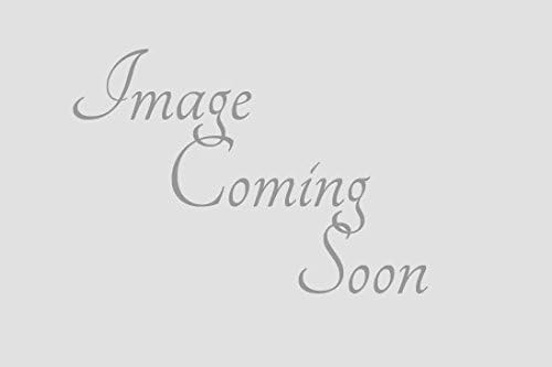 Ritter Dental Ultra Performance A-Patient'S Chair Only Ritt-Ulr04V