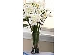 Lifestyle Studios White Freesias