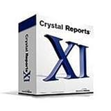 Crystal Reports XI Developers Edition (Developer Solution Suite Full Product w/Crystal Single Case TS, Training CBT) (PC)