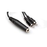 Y Cable 1/4" Tsf To Dual Rca With White Earbud Headphones