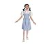 Dorothy Costume