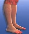 233C UNISEX Calf High OPEN TOE Sigvaris Cotton 30-40mmHg