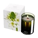Dayna Decker Candle - ZELIA 6 oz