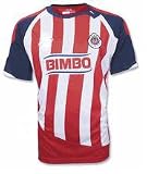 Chivas (Mexico) Jersey