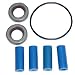 Hypro 4101 & 4001 Pump Repair Kit - 3430-0390
