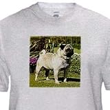 Fawn Pug - Adult Birch-Gray-T-Shirt Small