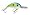 Citrus Shad