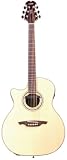 Wechter Model 5712CL-3PU Elite Grand Auditorium Guitar