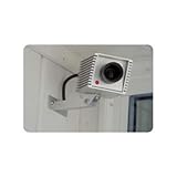 Control Products FSC-01 Battery-Powered Fake Security Camera