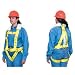 Lewis Manufacturing 418-18-1102: Fall Arrest Harnesses
