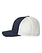 Flexfit Structured Low-profile Trucker Cap, One Size (Assorted Colors)