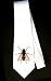 Party Decoration Necktie with insect, warble, pest, arthropod, parasite, 