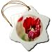 A Very Close Up of a Red Bulb Flower With a Yellow Center and Blurred Background of Green - 3 Inch Snowflake Porcelain Ornament
