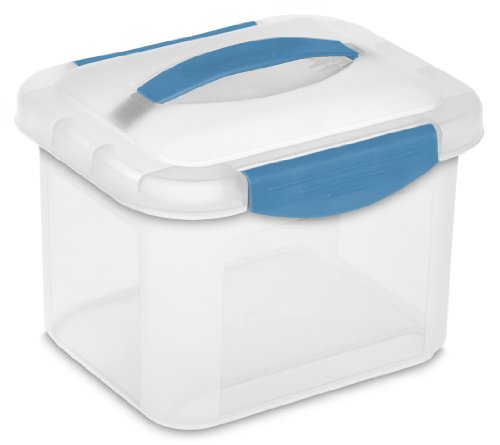 Sterilite 18928606 Showoffs Storage Container, Small, 6-Pack