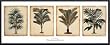 Art Poster Metal Framed Print - Tropical palms - Artist: Pieter de Pannemaeker- Poster Size: 15 X 39