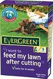 Evergreen Feed after Cutting 3.5kg 100sq