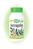 Astragalus Root 100 VCaps ( Astragalus membranaceus ) Nature's Way