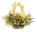 Teaposy Flowering Tea Lady Fairy Teaposies