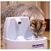 Drinkwell Water Fountain for Cats & Small Dogs