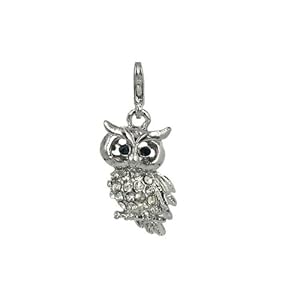 Charm owl in steel by Charming Charms
