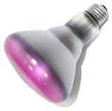 Sylvania 15153 - 65BR30/PK/RP Light Bulb