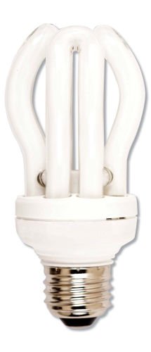 New Evolution Light Bulb, 25, FULL SPECTRUM (Energy Saver - Uses 3/4 Less Energy) (Warm Glow)