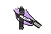 Julius-K9, 16IDC-PR-0, IDC Powerharness, Dog Harness, Size: 0, Purple