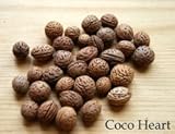~Coco Heart~ プチクルミ　（Ｃｏｃｏ　Ｈｅａｒｔオリジナル）　（木の実・ドライフラワー）