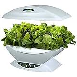 AeroGrow - AeroGarden 0016-03Z Salad Bar Series Baby Greens Seed Kit