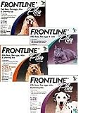 Essential Pet Products Flp23-44 Frontline Plus For Dogs 23-44 Lbs- Blue